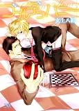 ゴールデンハニー (幻冬舎ルチル文庫)