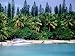 Bay of Kanumera, Ile des Pins, New Caledonia Photographic Poster Print by Peter Hendrie, 12x9