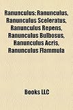 Ranunculus: Ranunculus, Ranunculus Sceleratus, Ranunculus Repens, Ranunculus Bulbosus, Ranunculus Acris, Ranunculus Flammula-