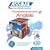 Perfectionnement Anglais (1 livre + 4 CD Audio)