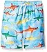 The Children's Place Boys' LB Swim Trunk