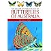 Australia for Beginners
