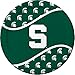 Michigan State Spartans Party Pack - Plates, Cups, Napkins - Serves 8