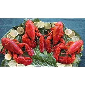 Charleston Seafood Frozen Lobster Meat, 32-Ounce Box