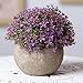 Velener Mini Plastic Artificial Pine Ball Topiary Plant with Pots for Home Decor (Purple Clover)