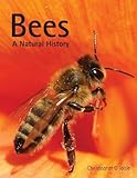 Bees : a natural history