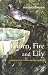 Thorn, Fire and Lily: Gardening with God in Lent and Easter