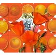 That Lucky Old Sun (+3 Bonus Tracks)