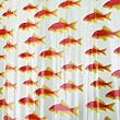 Interdesign Goldfish Design Shower Curtain (26080)