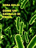 Come un Cavallo di Troia