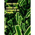 Come un Cavallo di Troia