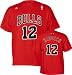 Search : Kirk Hinrich Chicago Bulls Adidas Name and Number T-Shirt