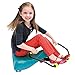 Super Flying Turtle Scooter - Teal