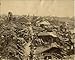 Photographic Prints of Earthquake damage, Japan from Mary Evans