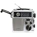 Eton FR250 Emergency Crank Radio Metallic Silver
