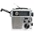 Eton FR250 Emergency Crank Radio Metallic Silver