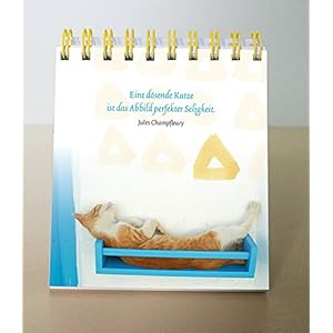 Kleine Glücksbringer zum Schnurren: 101 Dinge, die wir von Katzen lernen können (Eschbacher Aufste