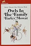 Owls in the Family