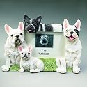 French Bulldog Dog 4x6 Photo Frame