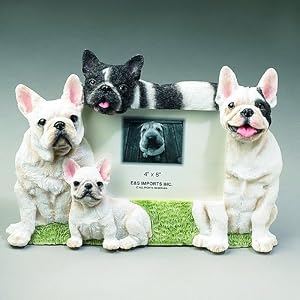 French Bulldog Dog 4x6 Photo Frame