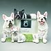 French Bulldog-4"x6" Picture Frame