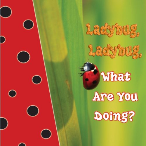 Ladybug, Ladybug, What Are You Doing? (Rourke Board Books)