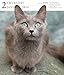 Cat 2014 Gallery Calendar