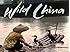 Wild China - Season 1