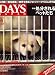 : DAYS JAPAN (デイズ ジャパン) 2008年 06月号 [雑誌]