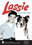 : Lassie: Best of Jeff's Collie
