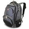 SwissGear Computer Backpack (Gray/Black)