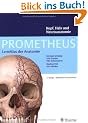 PROMETHEUS LernAtlas der Anatomie: Kopf, Hals und Neuroanatomie