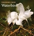 Waterbirds