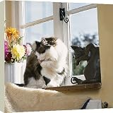 Box Canvas Print of Cat - cleaning itself on windowsill from Ardea