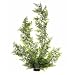 Floating Adiantum - Giant - 36 in.