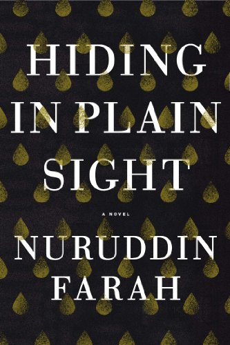 Hiding in Plain Sight: A Novel