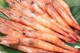 お刺身用甘えびたっぷり１ｋｇ！大きな２Ｌサイズ！王様こだわりの仕入れで、品質に自身あり!【えび】【海老】【ギフト】【プレゼント】 EBI