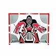NHL Street Hockey Goals Shooting Target