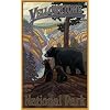Northwest Art Mall 11" x 17" Poster Bears In Yellowstone National Park  by Paul A. Lanquist
