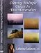 How to Paint Misty, Moody, Luminous Landscapes - Creating Multiple Glazes in Your Watercolors - A Mini Workshop Without Leaving Home! (DVD)