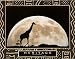 Heritage (Giraffe, Africa) Art Poster Print - 22 X 28