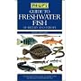Guide to Freshwater Fish of Britain and Europe