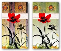 New Edition VI-VII Set by Miguel Paredes 18"x24" Art Print Poster