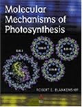 Molecular Mechanisms of Photosynthesis