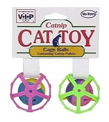 Plastic Balls with Catnip Cat Toy