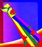 Sunshine Hummingbird with Flowers - Rainbow Colors- Large 60 Long - Bright & Colof.- Windsock Hanging Garden Decorative Scuplture Decor