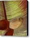 Banana Composition I Canvas Print / Canvas Art - Artist Ben and Raisa Gertsberg