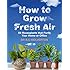 How To Grow Fresh Air: 50 Houseplants That Purify Your Home Or Office: 50 Houseplants That Purify Yo