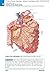 Netter's Concise Radiologic Anatomy: With STUDENT CONSULT Online Access, 2e (Netter Basic Science)