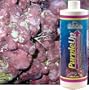 CaribSea Purple Up Algae Accelerator, 16-Ounce